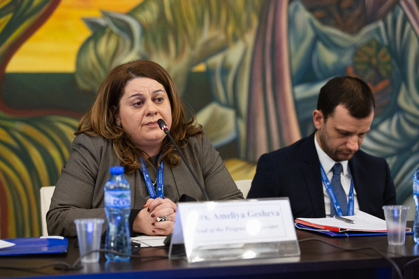 Zamestnik Ministr Ameliya Gesheva Otkriva Informacionnata Kampaniya Na Programa Kulturno Predpriemachestvo Nasledstvo I Strudnichestvo Norway Grants Eea Grants