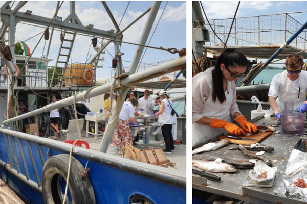 Bulgarian experts participated in a series of meetings to exchange experience and good practices in Norway to improve the monitoring of marine water